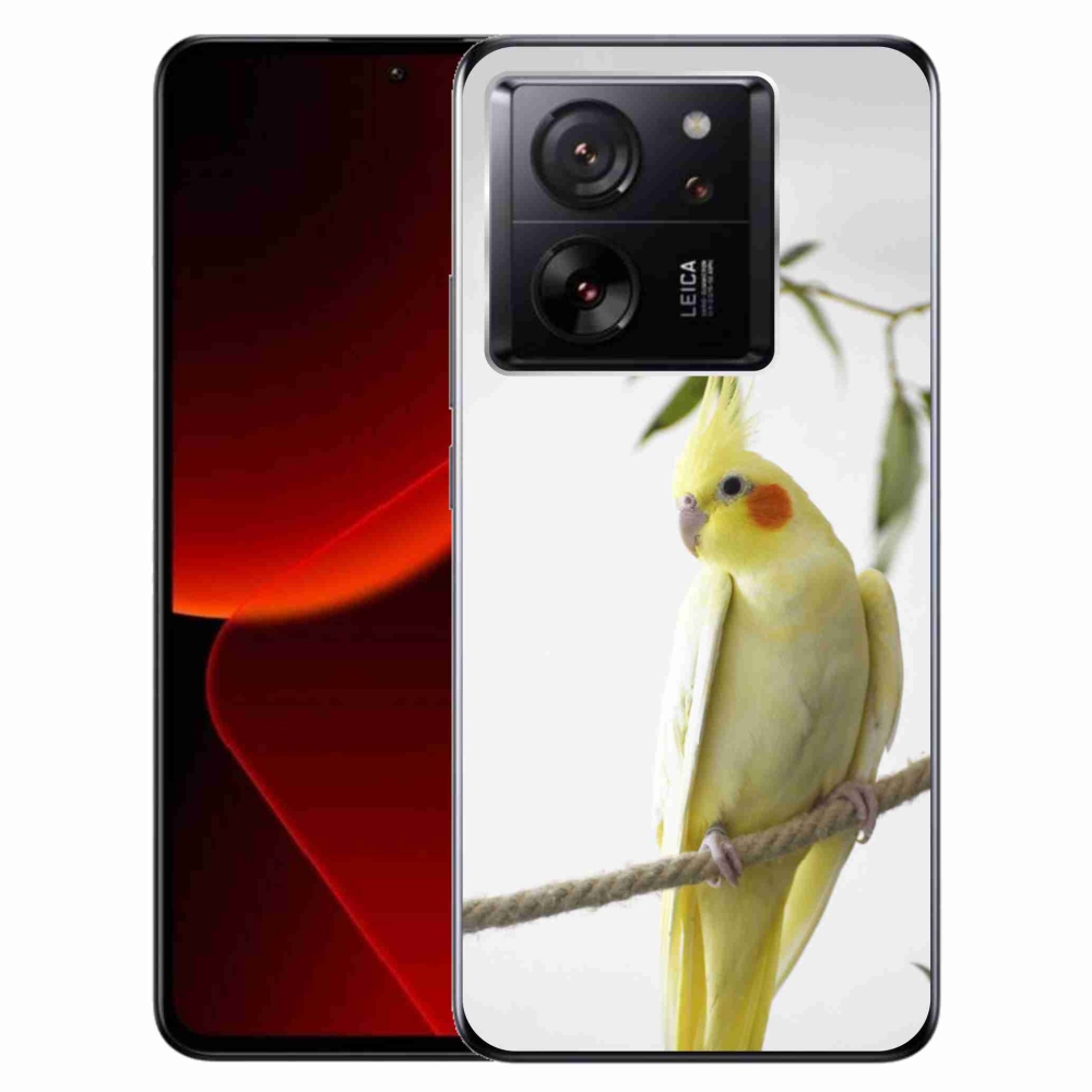 Gél borítás mmCase for Xiaomi 13T/13T Pro - papagáj korela chocholatá