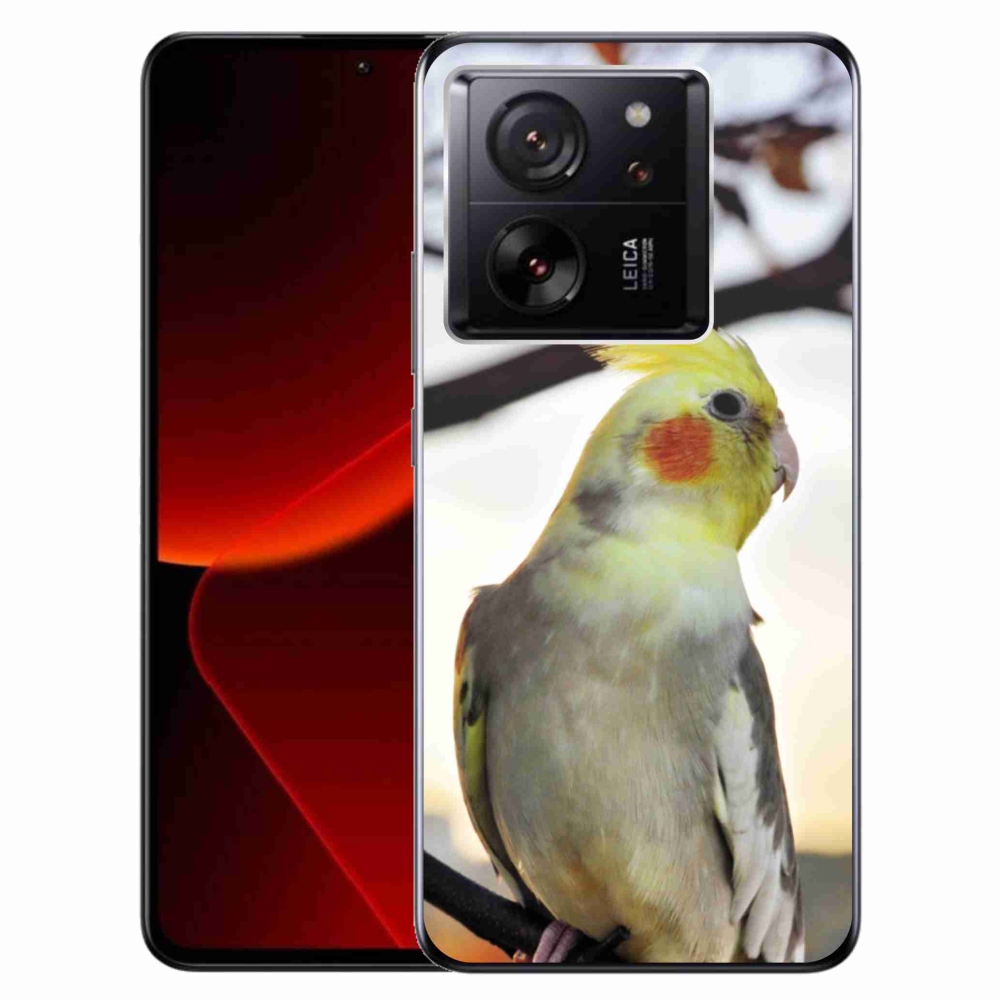 Gél borítás mmCase a Xiaomi 13T/13T Pro számára - papagáj korela