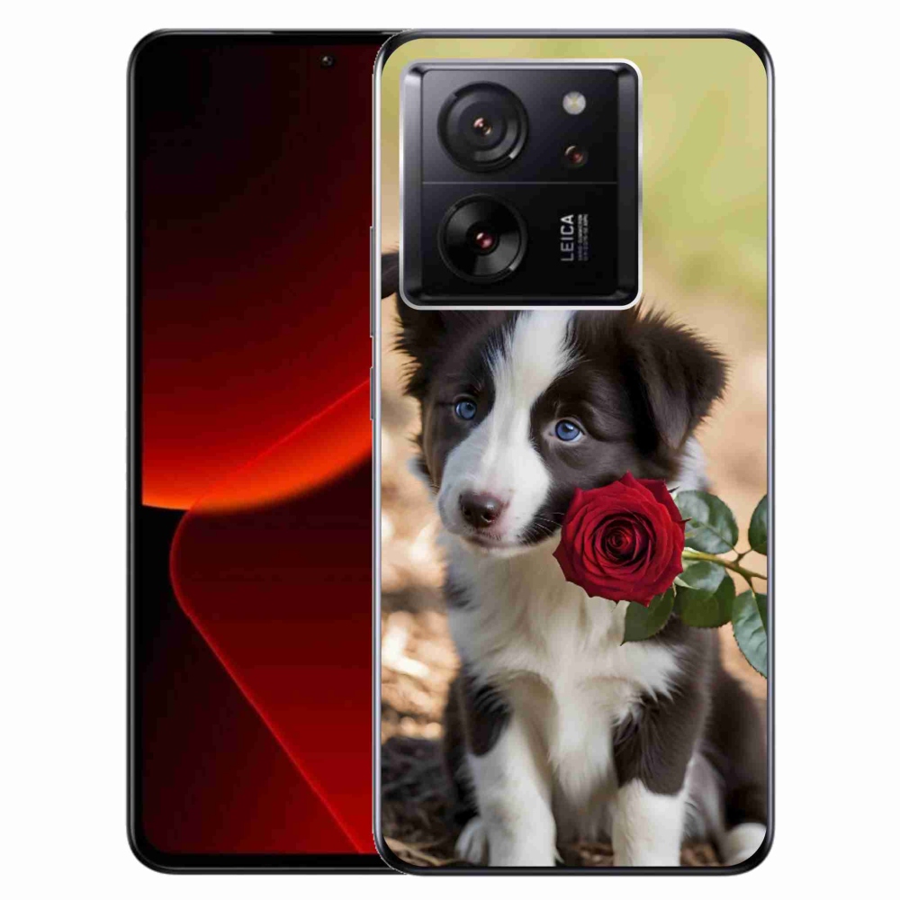 Gél borítás mmCase a Xiaomi 13T/13T Pro számára - aranyos border collie rózsával