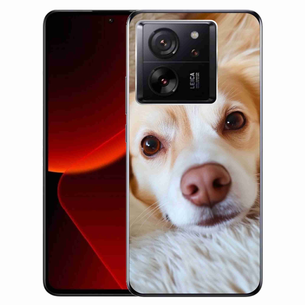 Gél borítás mmCase a Xiaomi 13T/13T Pro számára - Aranyos csivava
