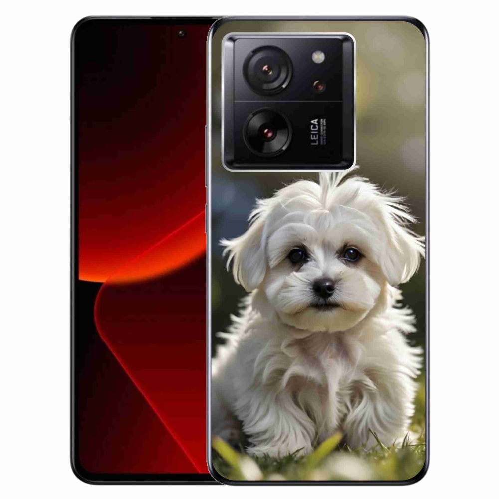 Gél borítás mmCase a Xiaomi 13T/13T Pro számára - aranyos máltai kutya