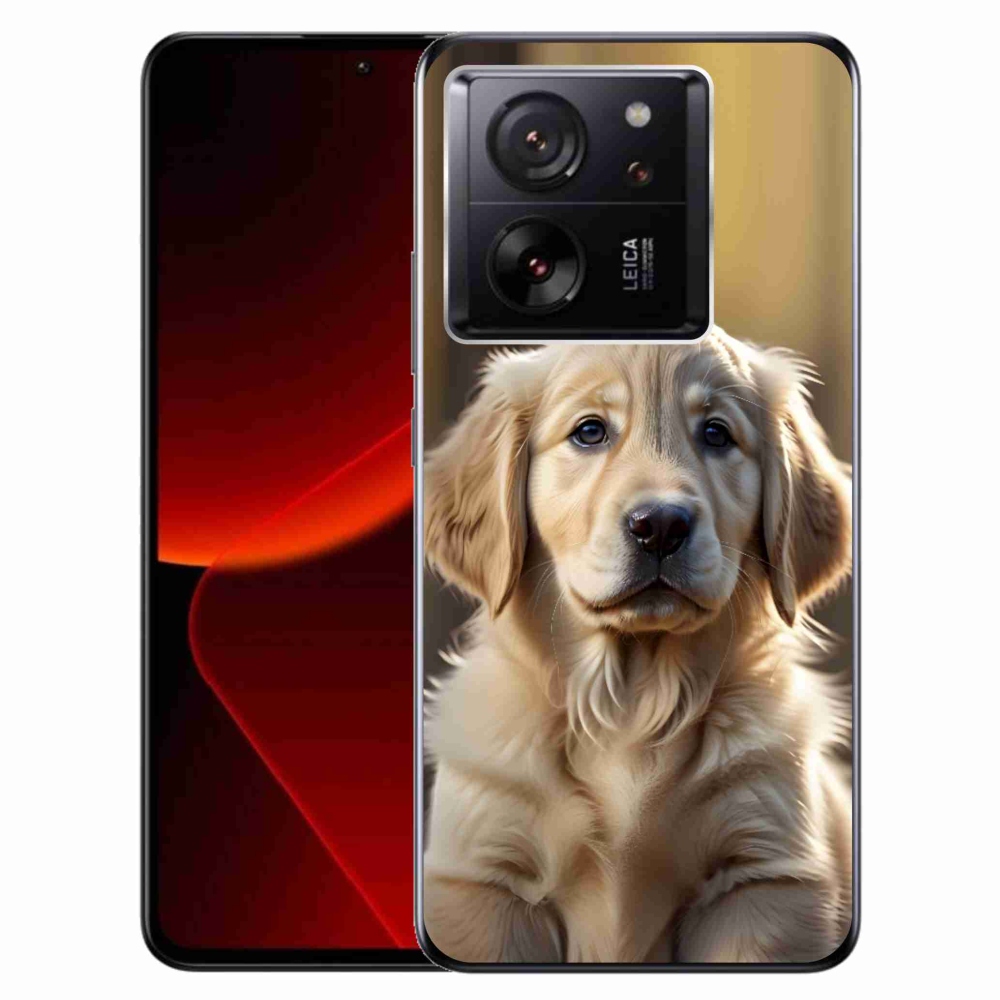 Gél borítás mmCase a Xiaomi 13T/13T Pro számára - aranyos arany retriever