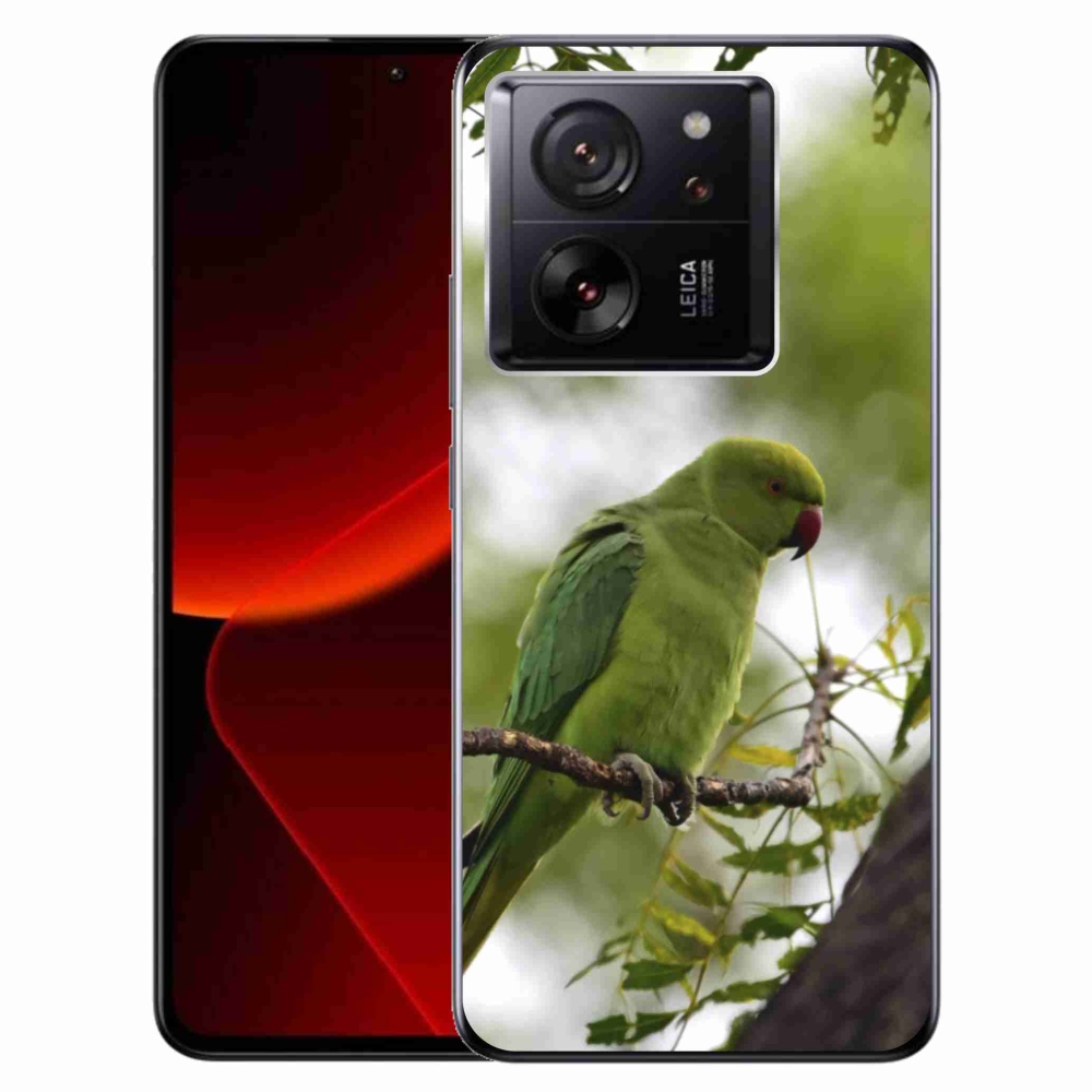 Zselés borítás mmCase a Xiaomi 13T/13T Pro készülékhez - zöld papagáj