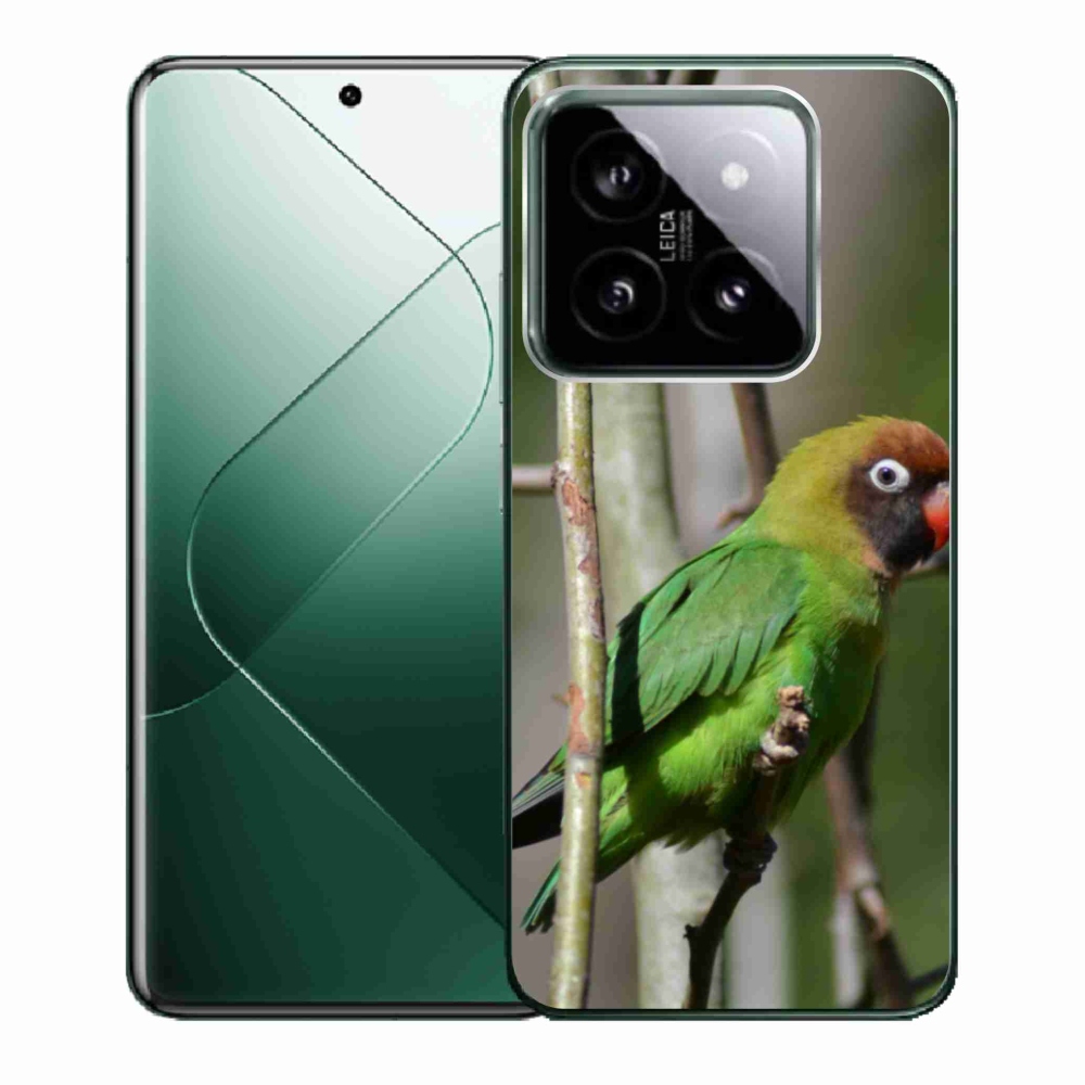 Gél borító mmCase a Xiaomi 14 - papagáj agapornishoz