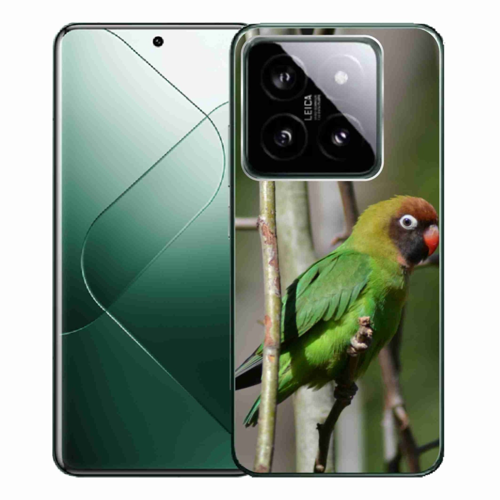 Gél borítás mmCase a Xiaomi 14 Pro számára - papagáj agapornis