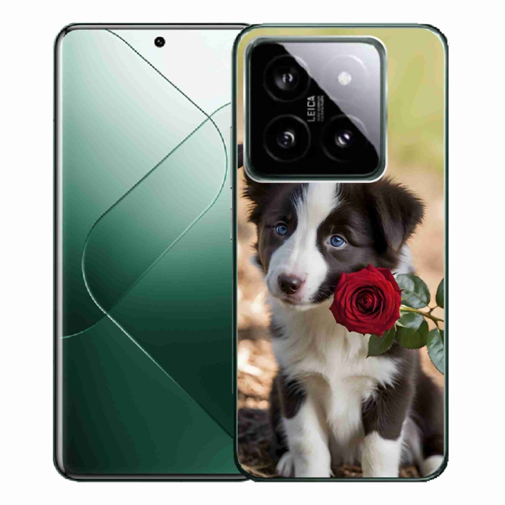 Gél borítás mmCase a Xiaomi 14 Pro-hoz - aranyos border collie rózsával