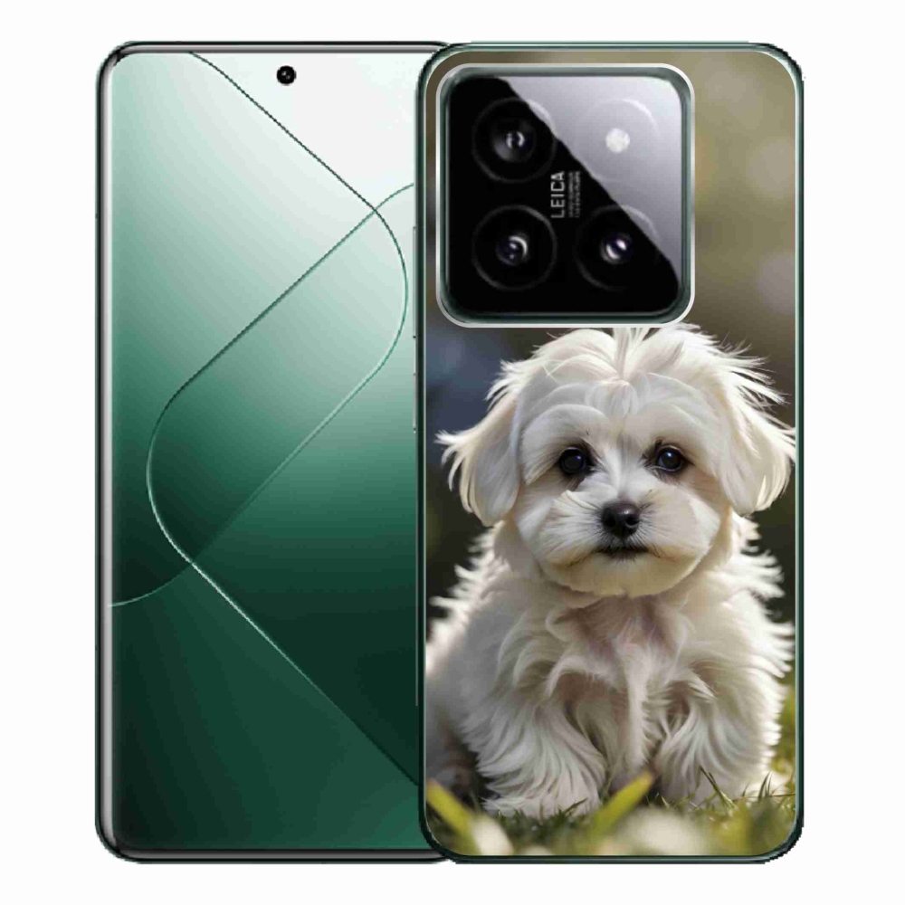 Gél borítás mmCase a Xiaomi 14 Pro-hoz - aranyos máltai kutya