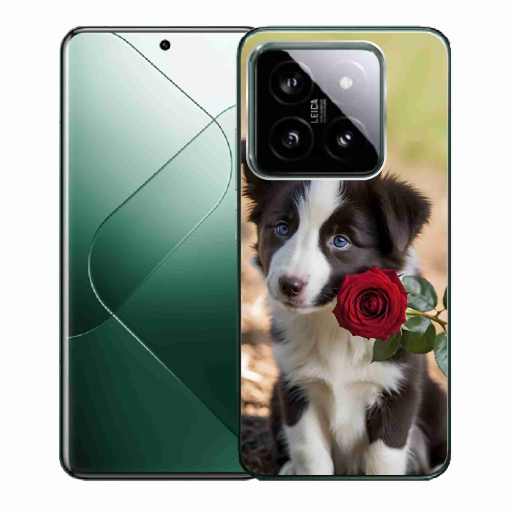 Gél borító mmCase a Xiaomi 14-hez - aranyos border collie rózsával