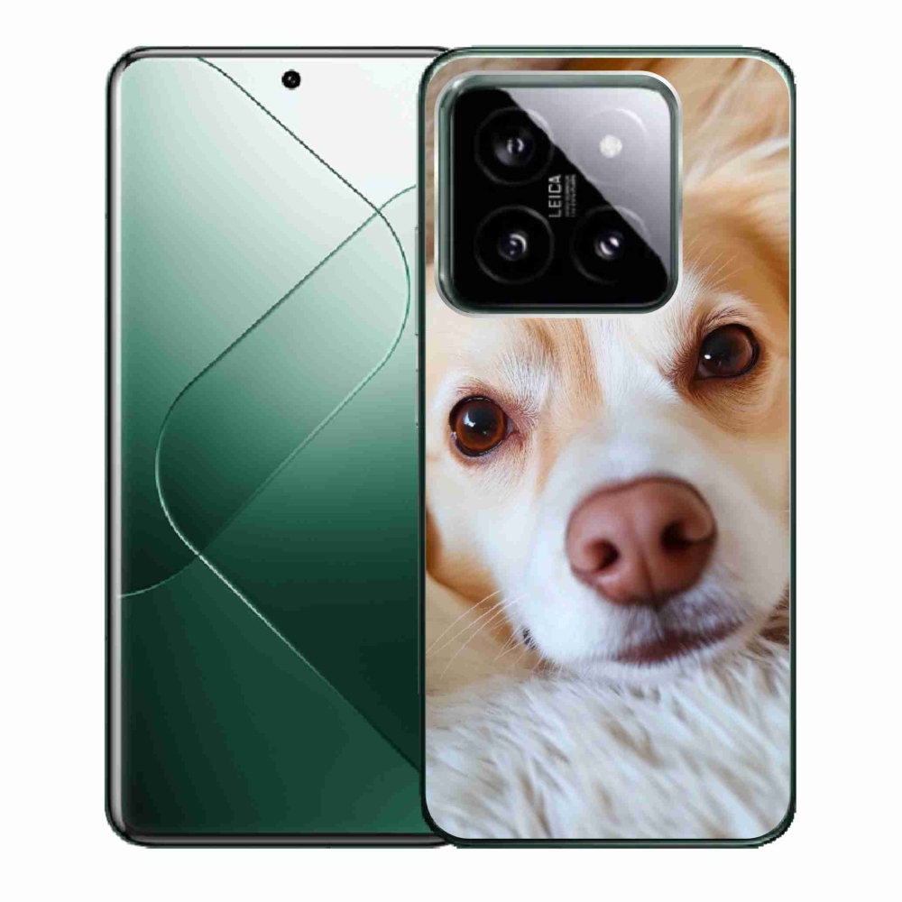 Gél borító mmCase a Xiaomi 14-hez - Aranyos csivava