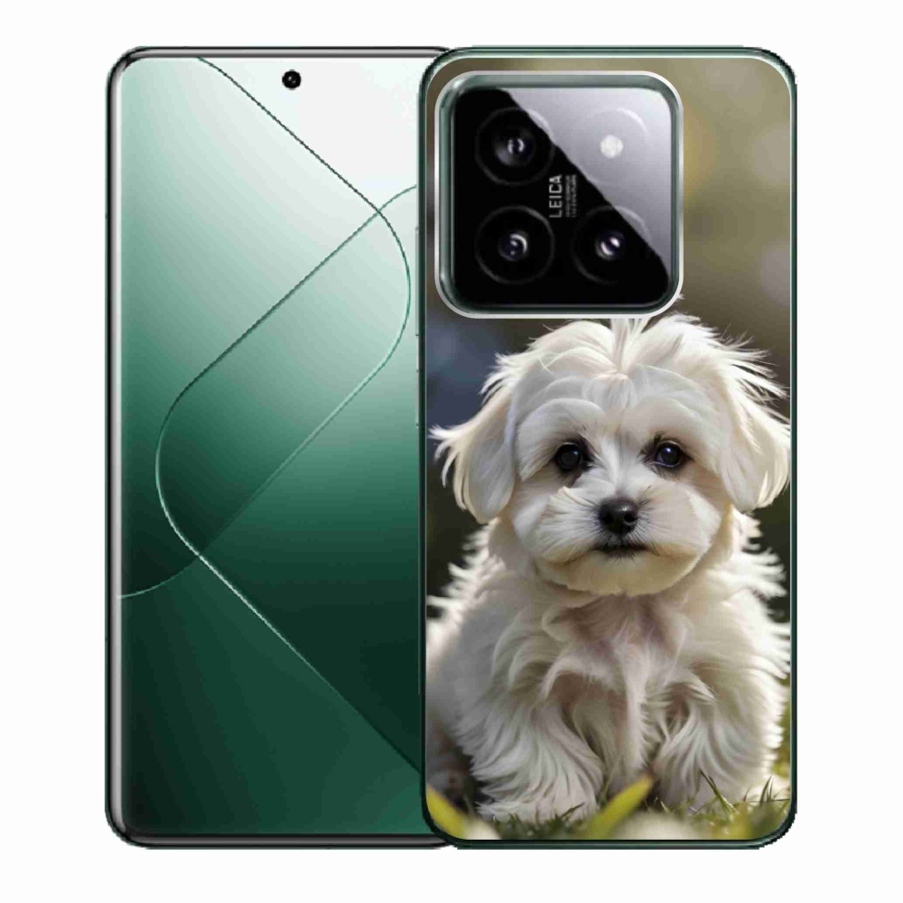 Gél borítás mmCase a Xiaomi 14-hez - aranyos máltai kutya