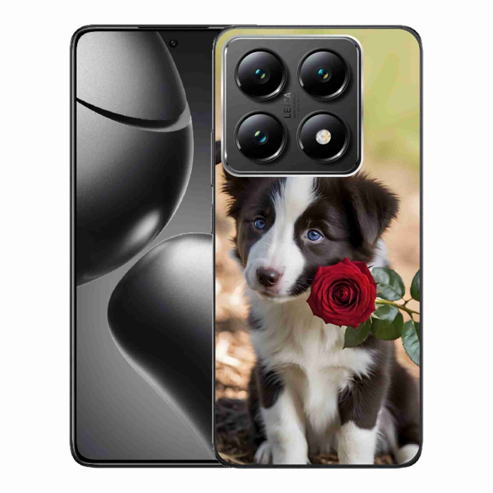 Gél borítás mmCase a Xiaomi 14T Pro számára - aranyos border collie rózsával