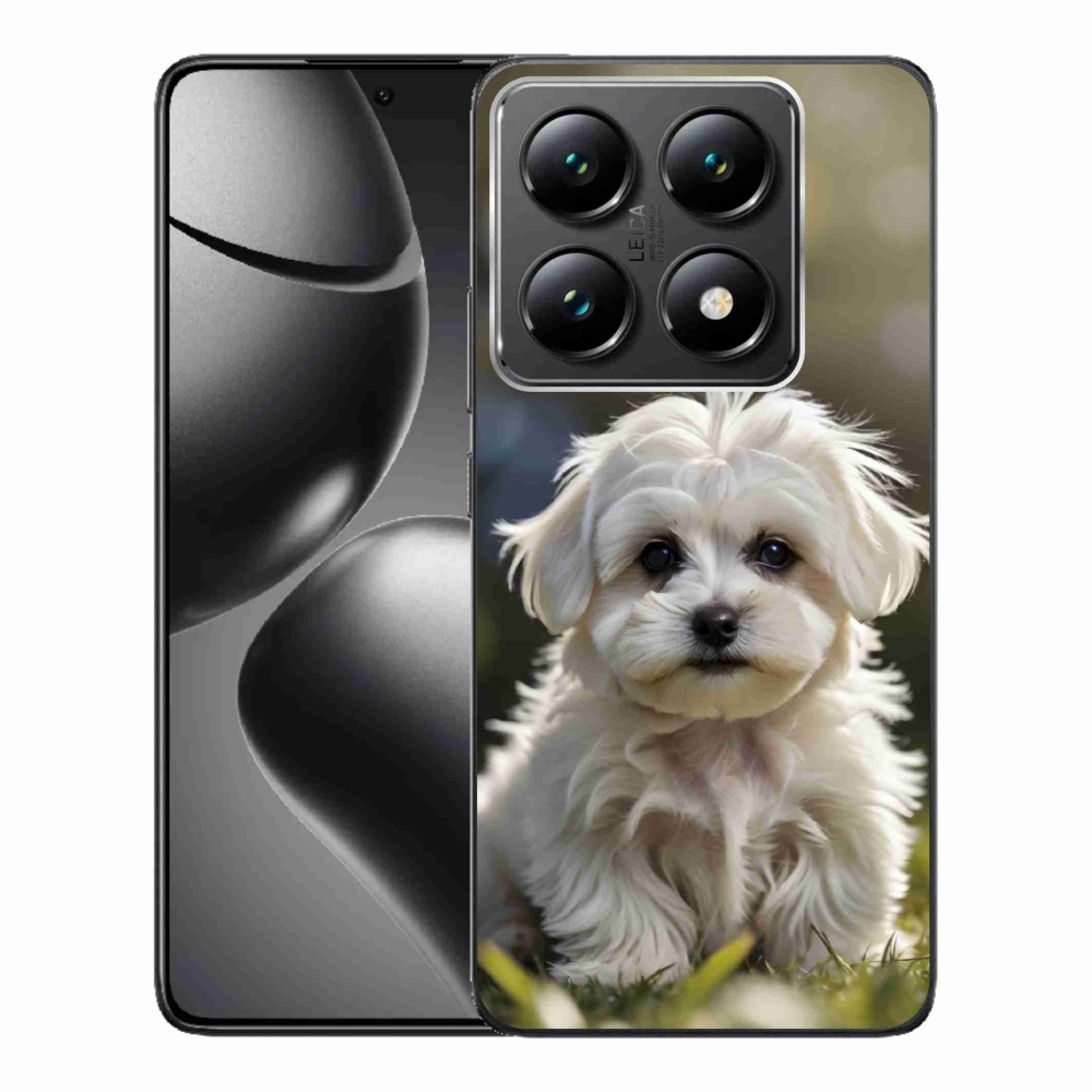Gél borítás mmCase a Xiaomi 14T Pro számára - aranyos máltai kutya