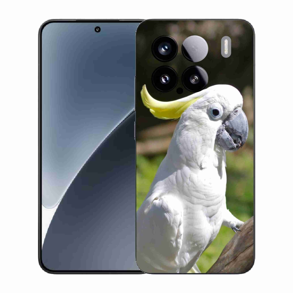 Gél borítás mmCase a Xiaomi 15-öshöz - papagáj kakadu 2