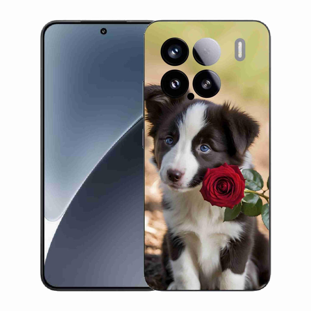 Gél borító mmCase a Xiaomi 15-hez - aranyos border collie rózsával