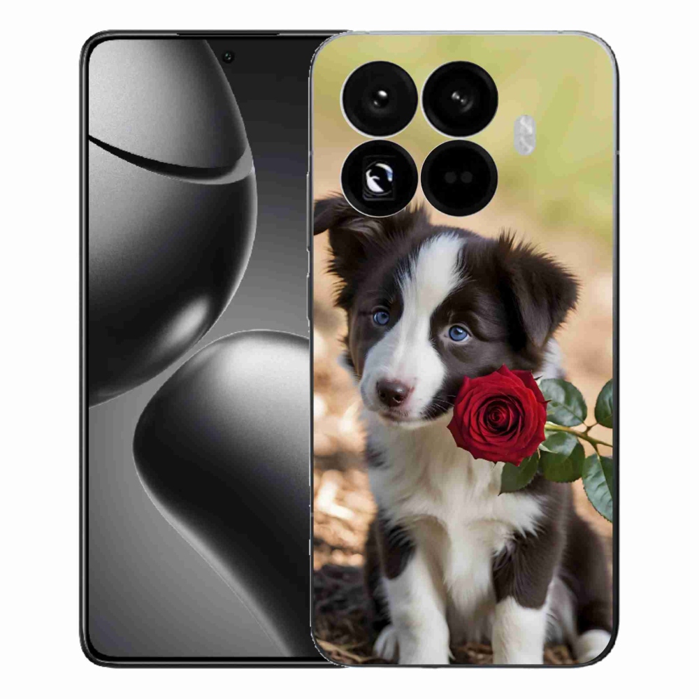 Gél borítás mmCase a Xiaomi 15T Pro számára - aranyos border collie rózsával
