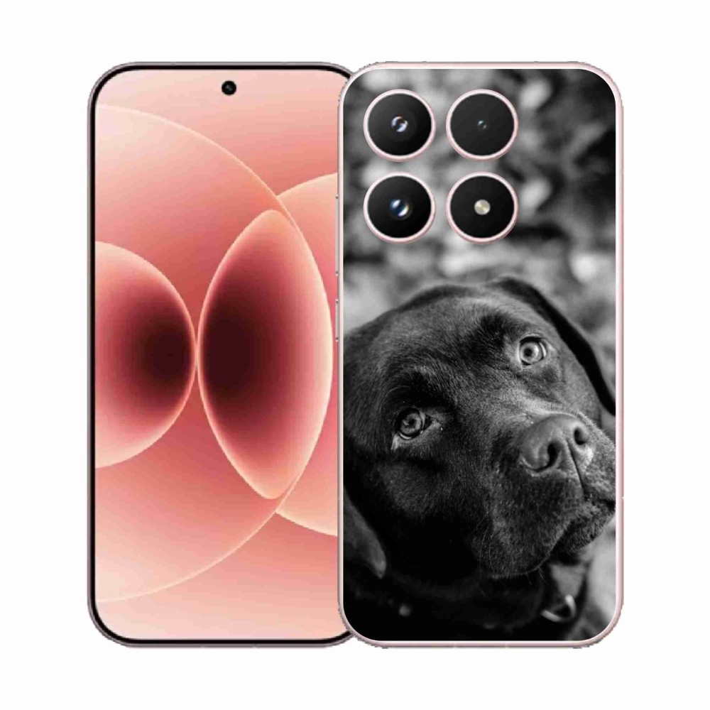 Gél borító mmCase a Xiaomi 17 - labradorhoz