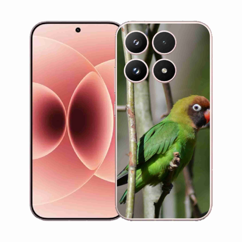 Gél borító mmCase a Xiaomi 17 - papagáj agapornishoz