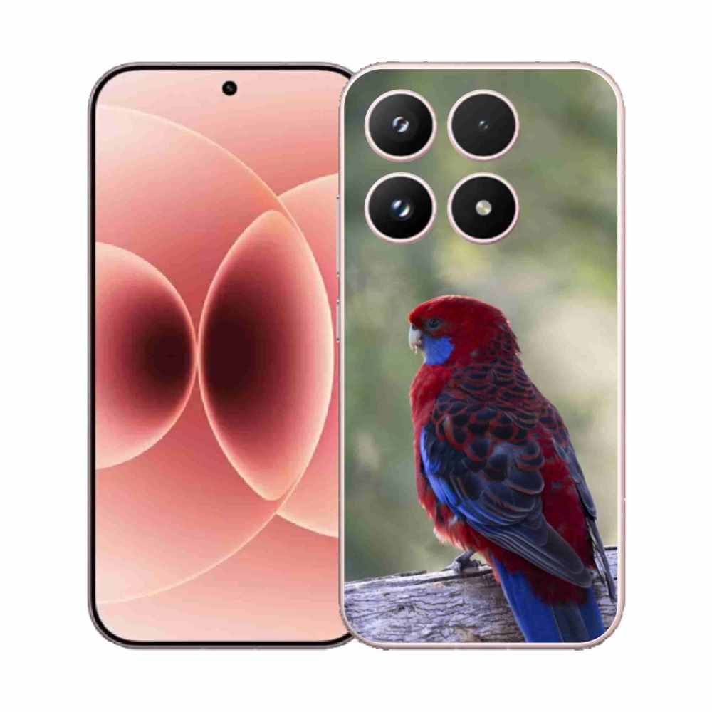 Gél borító mmCase a Xiaomi 17 - papagáj rosela számára