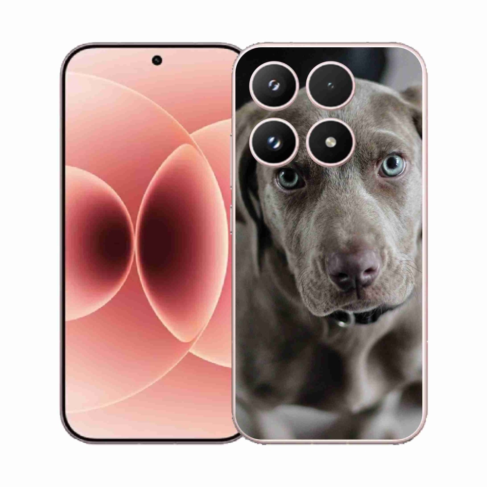 Gél borítás mmCase a Xiaomi 17-hez - Weimaraner