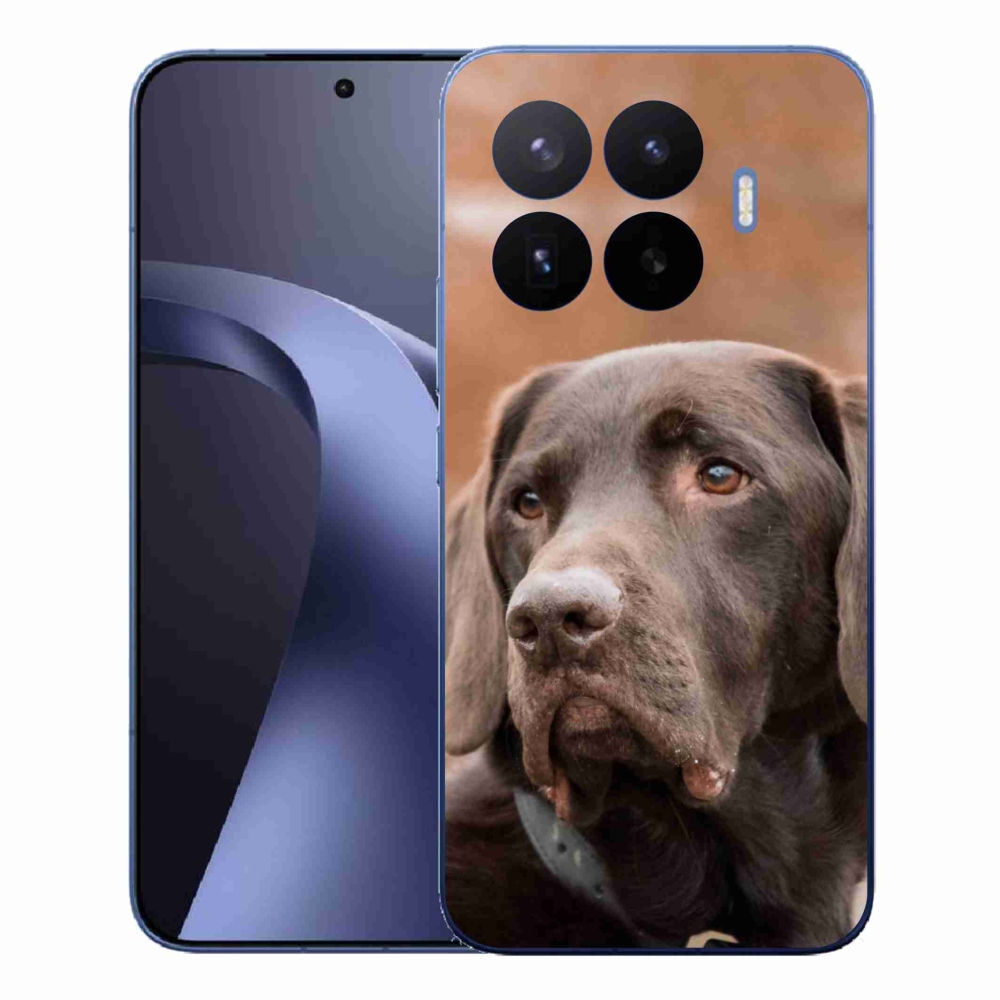 Gél borítás mmCase a Xiaomi 17T Pro számára - barna labrador