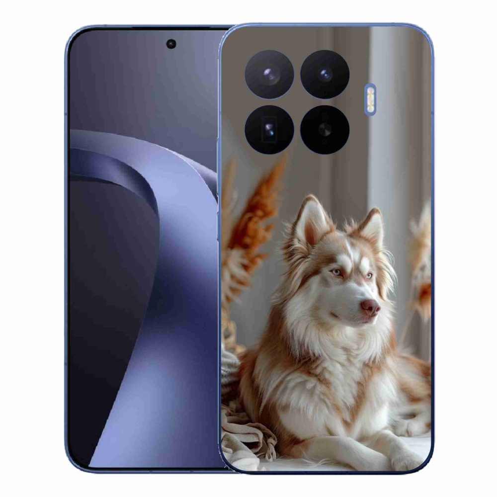 Gél borítás mmCase a Xiaomi 17T Pro számára - csendes szibériai husky