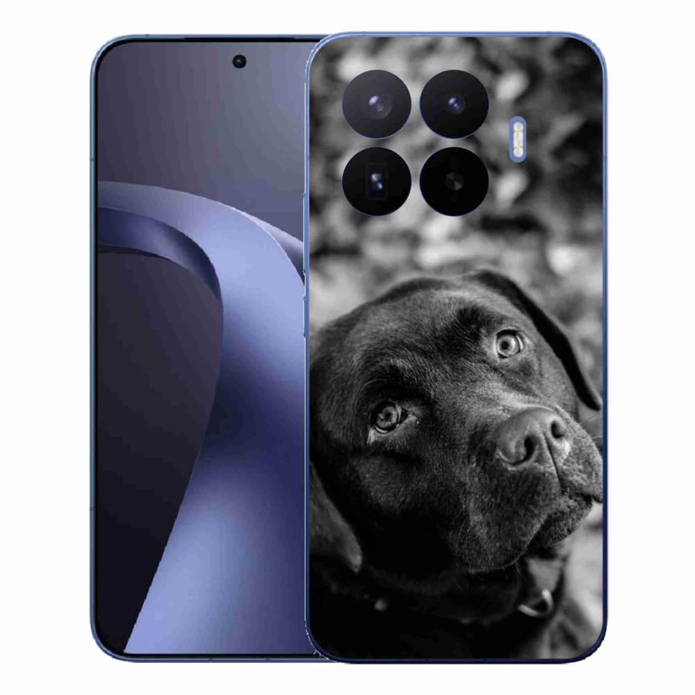 Gél borítás mmCase a Xiaomi 17T Pro számára - labrador