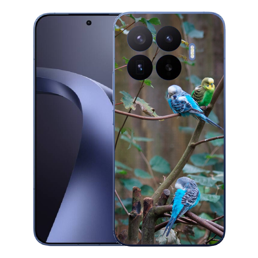 Gél borítás mmCase a Xiaomi 17T Pro számára - papagájok az ágon