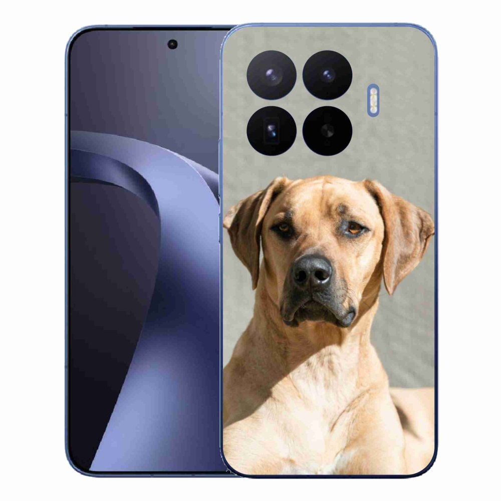 Gél borítás mmCase a Xiaomi 17T Pro számára - ridgeback