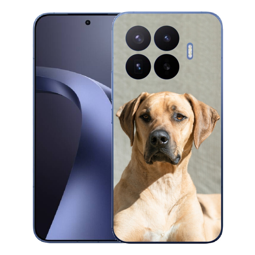 Gél borítás mmCase a Xiaomi 17T Pro számára - ridgeback
