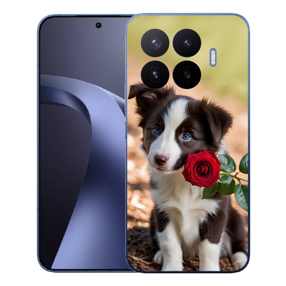 Gél borítás mmCase a Xiaomi 17T Pro számára - aranyos border collie rózsával
