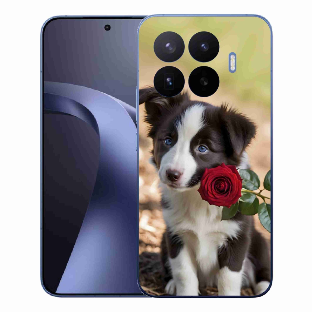 Gél borítás mmCase a Xiaomi 17T Pro számára - aranyos border collie rózsával
