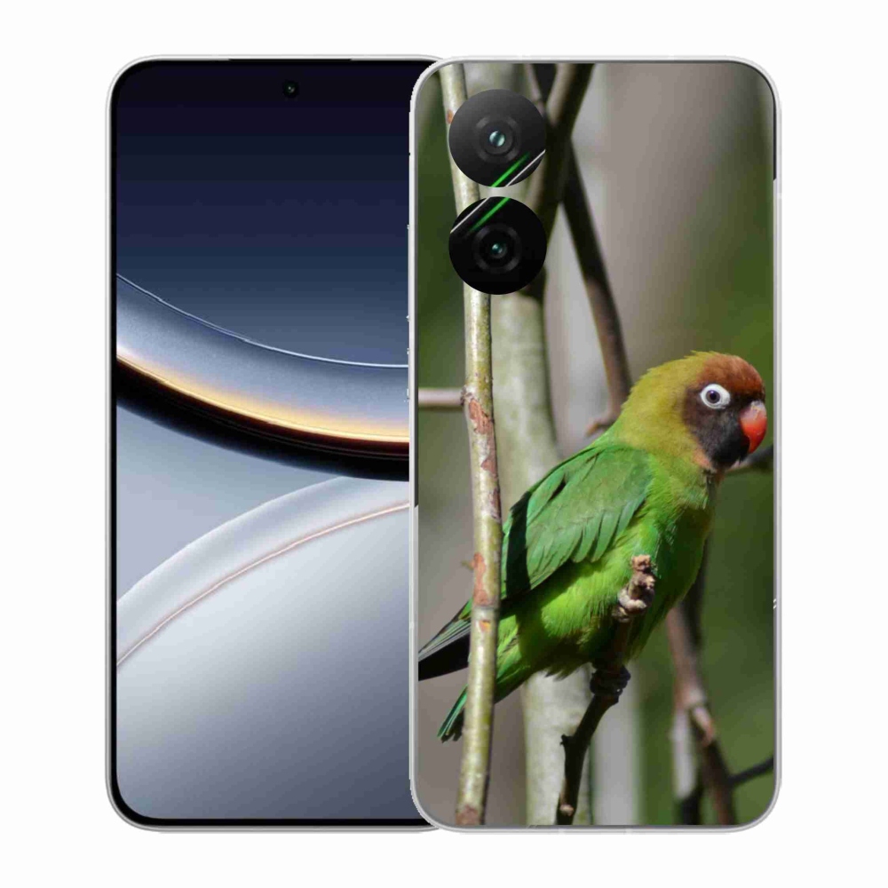 Gél borítás mmCase a Xiaomi Poco F7 5G-hez - papagáj agapornis