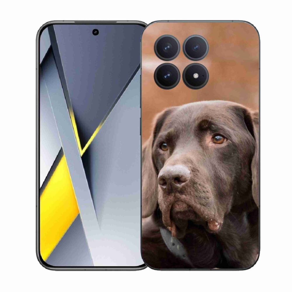 Gél borítás mmCase a Xiaomi Poco F8 Pro készülékhez - barna labrador