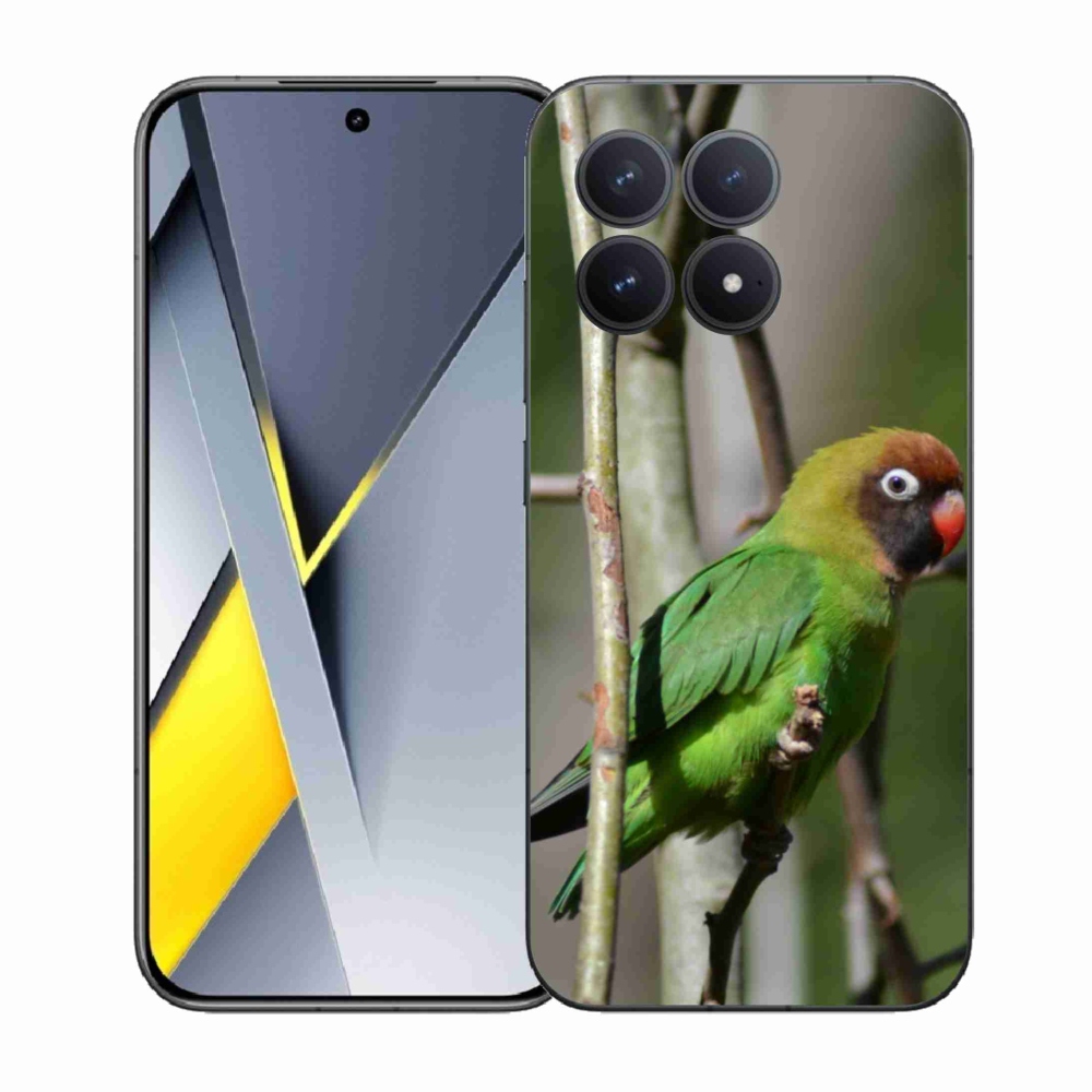 Gél borítás mmCase a Xiaomi Poco F8 Pro számára - papagáj agapornis