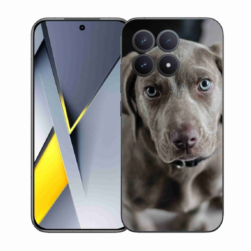 Gélburkolat mmCase a Xiaomi Poco F8 Pro számára - a nemes vadászkutya