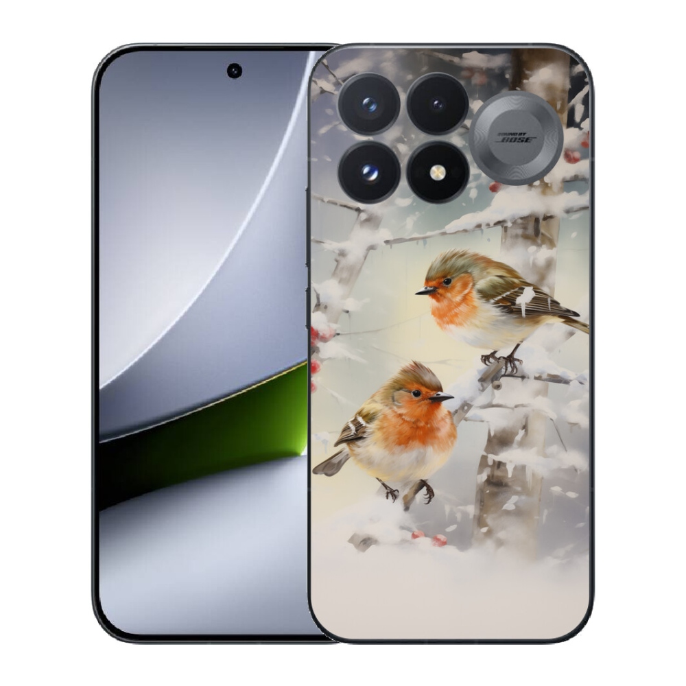 mmCase géltok a Xiaomi Poco F9 Pro 5G-hez – madarak télen