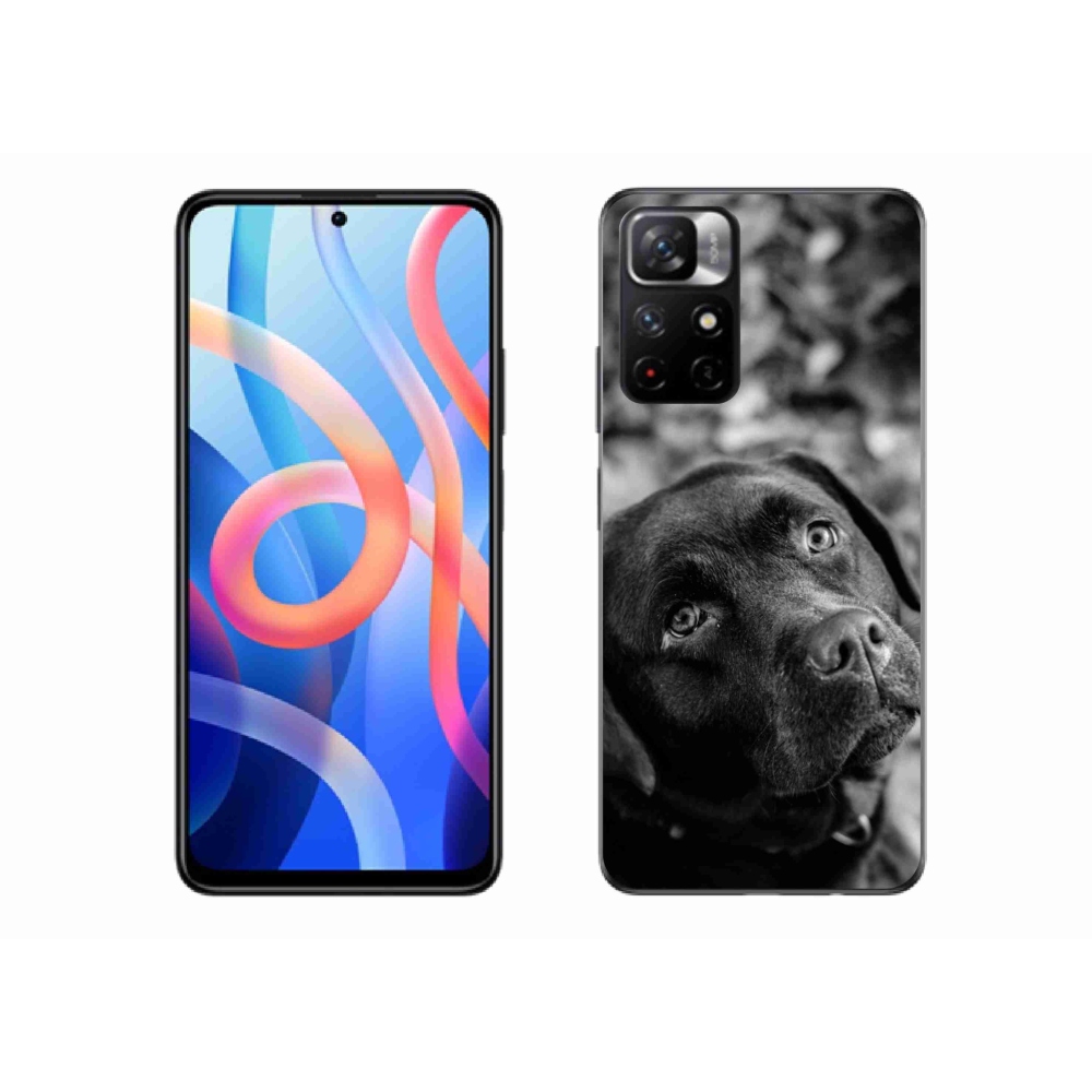 Gél borítás mmCase a Xiaomi Poco M4 Pro 5G-hez - labrador