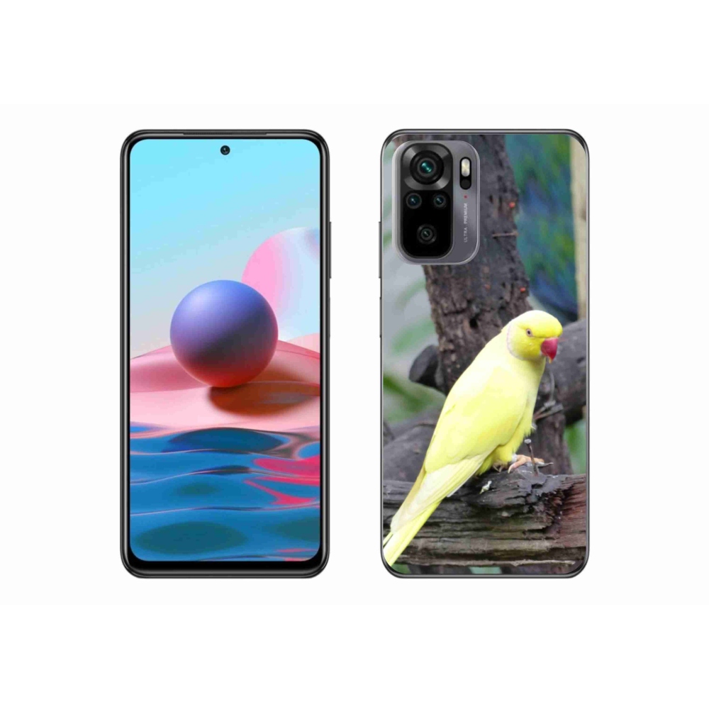 Gél borítás mmCase a Xiaomi Poco M5s készülékhez - papagáj alexander sárga