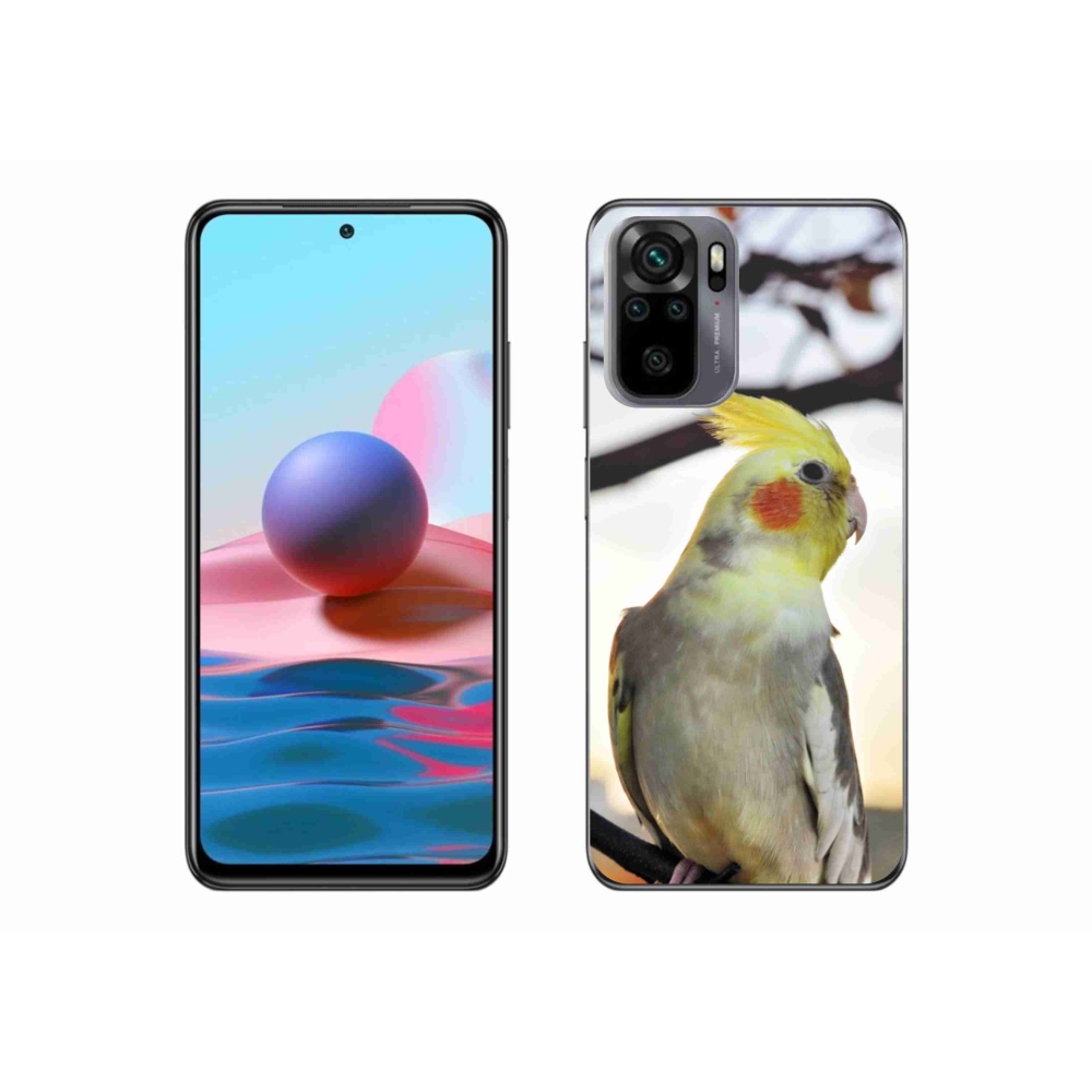 Gél borítás mmCase a Xiaomi Poco M5s készülékhez - papagáj korela