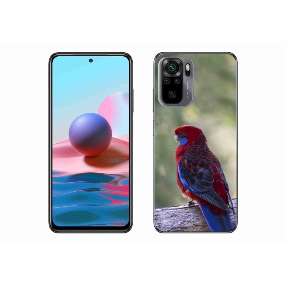 Gél borítás mmCase a Xiaomi Poco M5s készülékhez - papagáj rosela