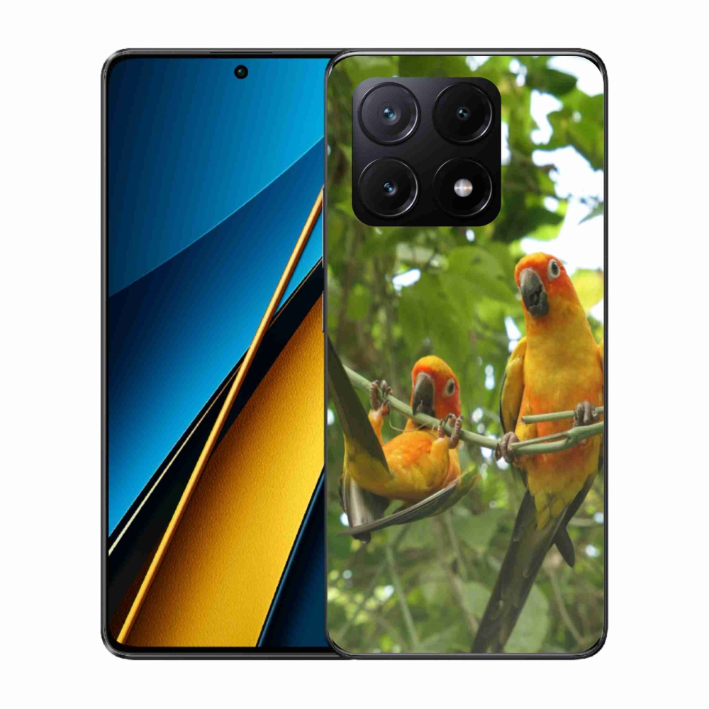 Gél borítás mmCase a Xiaomi Poco X6 Pro 5G számára - papagájok aratingy