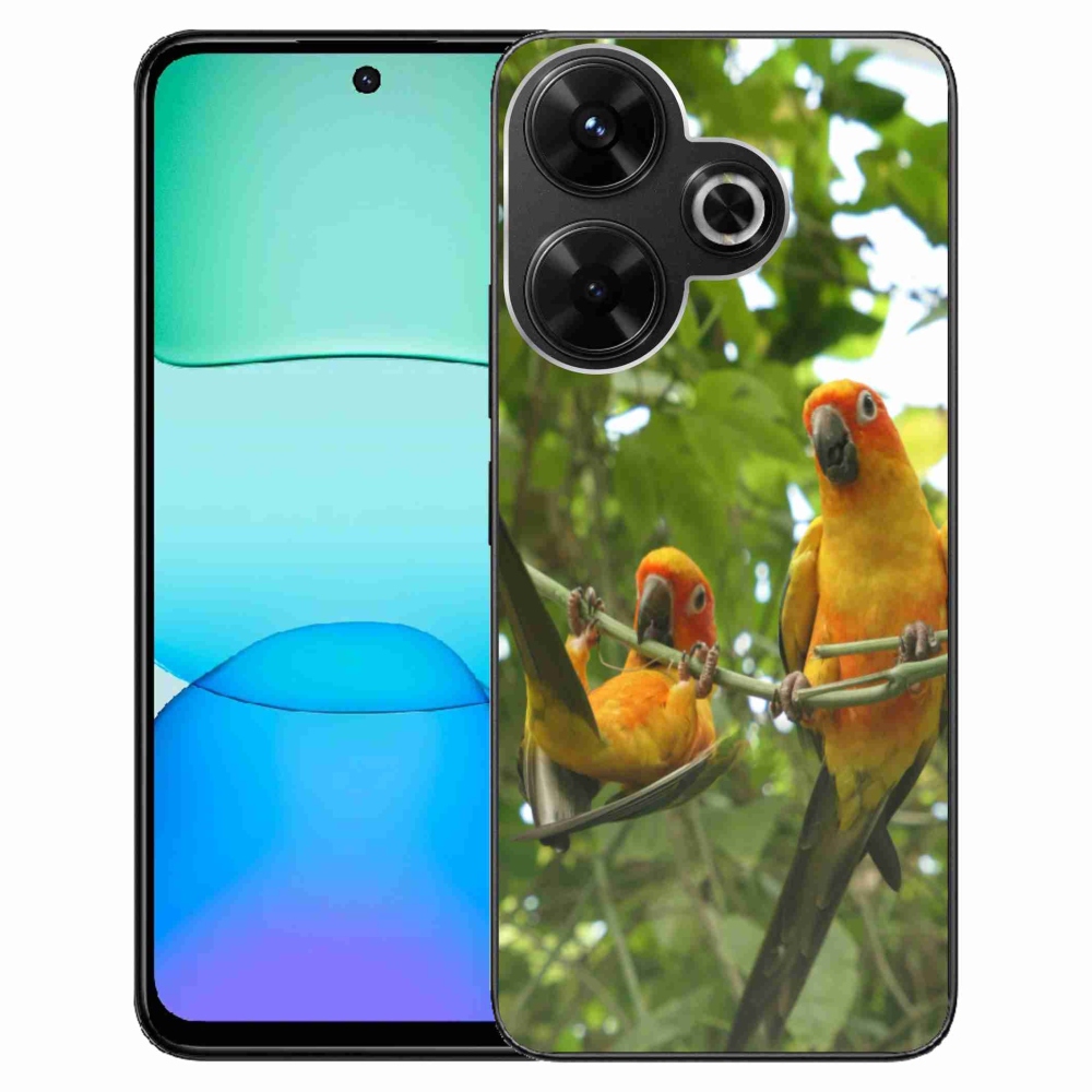 Gél borítás mmCase a Xiaomi Redmi 13 4G/Poco M6 4G számára - papagájok aratingy