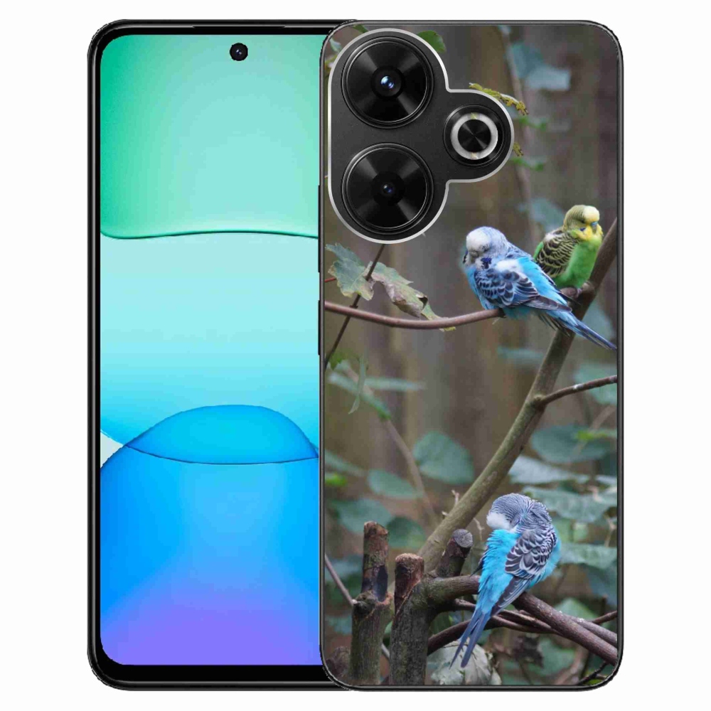Gél borítás mmCase a Xiaomi Redmi 13 4G / Poco M6 4G számára - papagájok az ágon