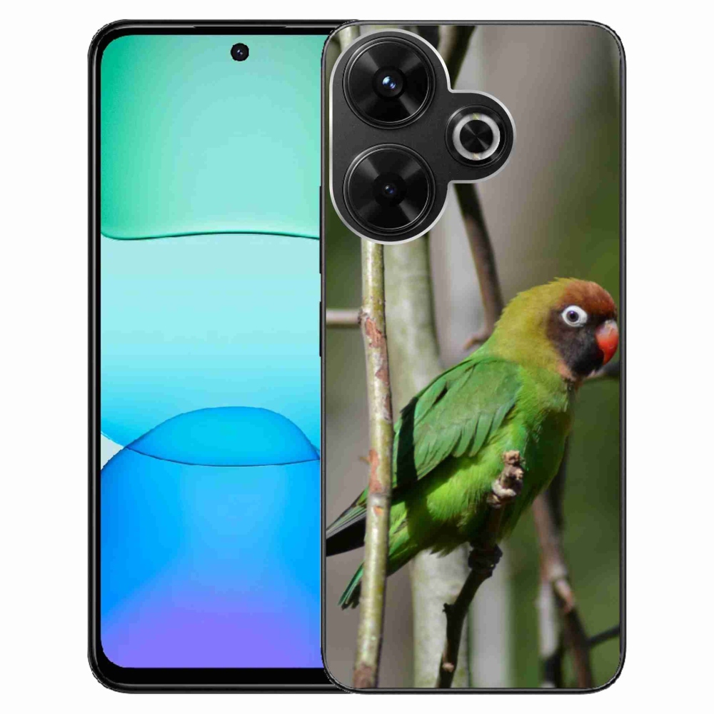 Gél borítás mmCase a Xiaomi Redmi 13 4G/Poco M6 4G - papagáj agaPronis számára