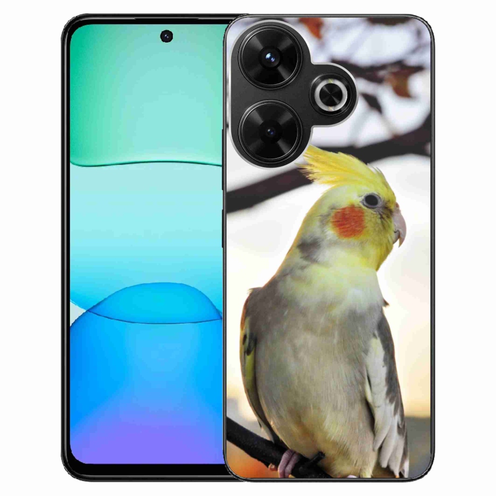 Gél borítás mmCase a Xiaomi Redmi 13 4G/Poco M6 4G számára - papagáj korela