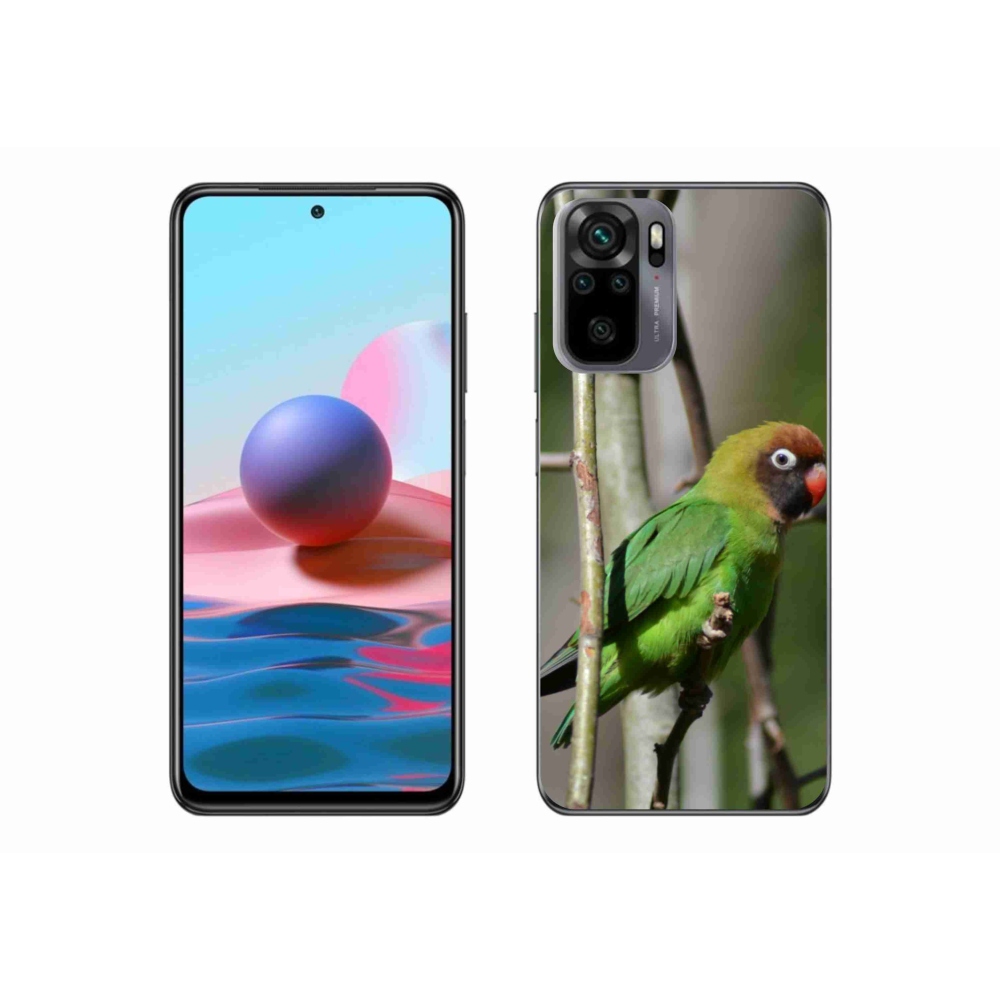 Gél borító mmCase a Xiaomi Redmi Note 10 készülékhez - papagáj agapornis