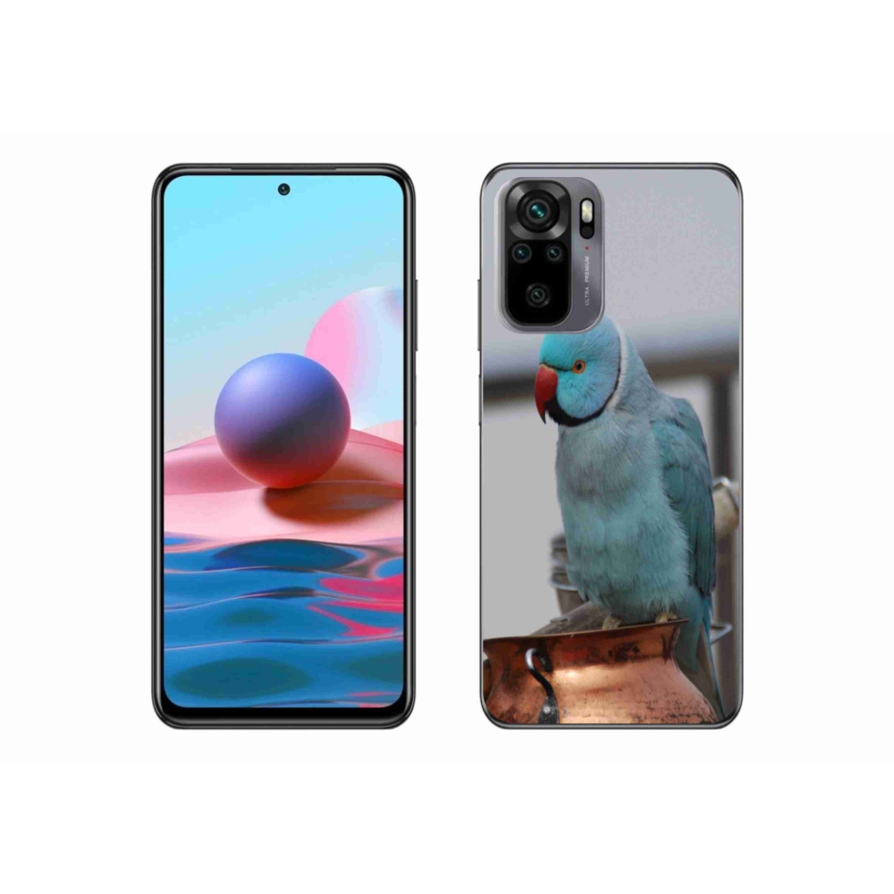 Zselés borítás mmCase a Xiaomi Redmi Note 10 készülékhez - papagáj alexander kék