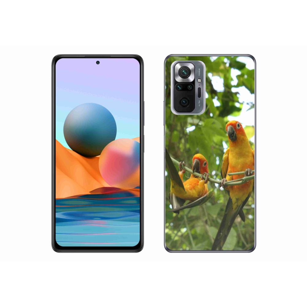 Gél borítás mmCase a Xiaomi Redmi Note 10 Pro-hoz - papagájok aratingy