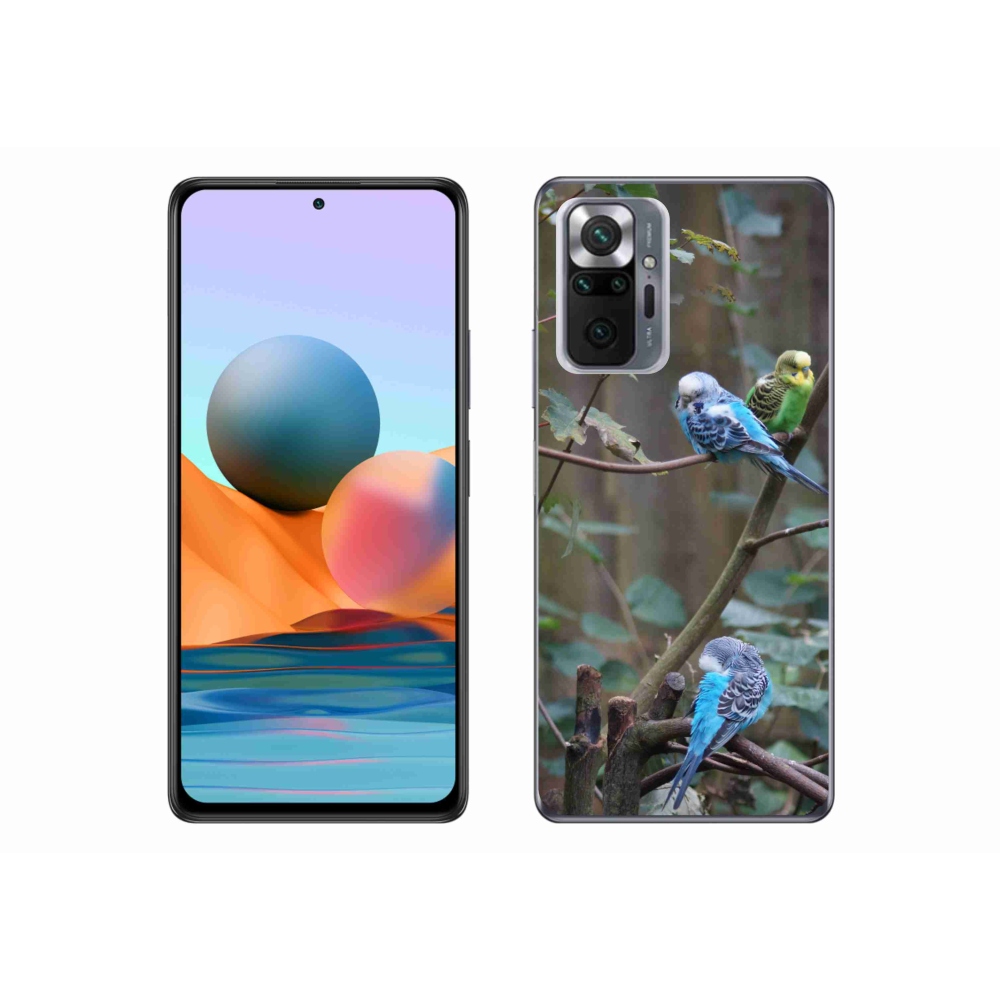 Gél borítás mmCase a Xiaomi Redmi Note 10 Pro számára - papagájok az ágon