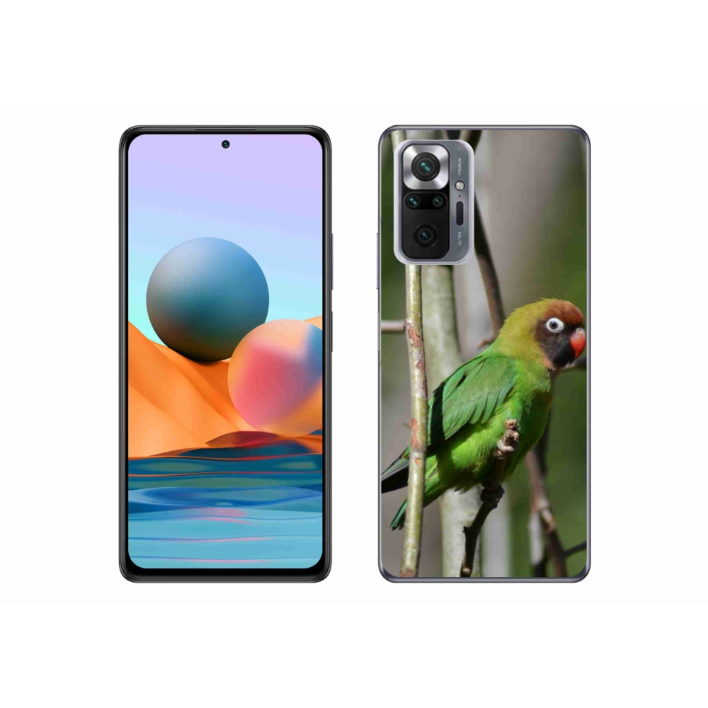 Gél borítás mmCase a Xiaomi Redmi Note 10 Pro számára - papagáj agapornis